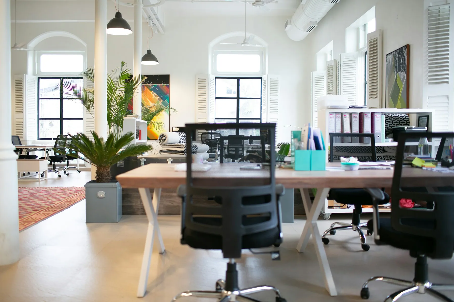 Bright creative office with shared desks and plants