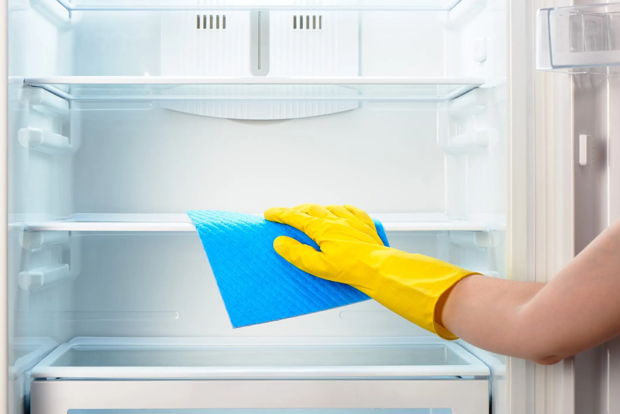 Refrigerator Cleaning